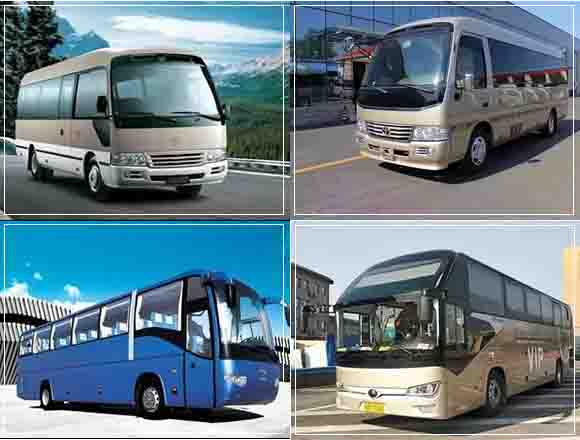 豐臺中巴租車帶司機一天多少錢